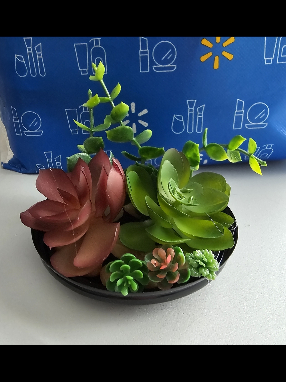 Assorted Faux Succulent Bowl - Green and Burgundy